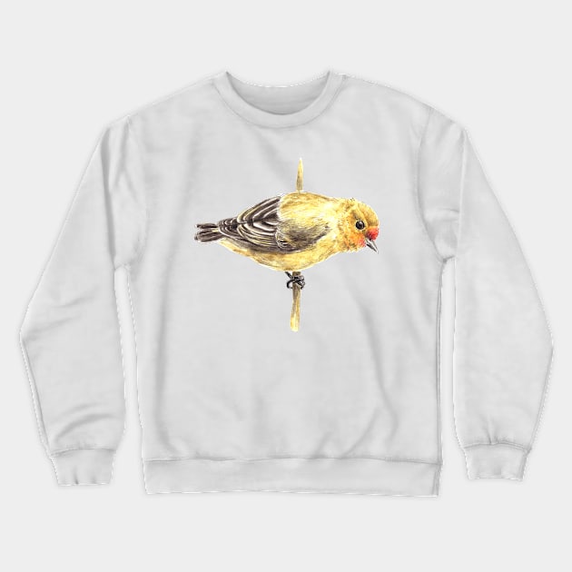 Tit Crewneck Sweatshirt by katerinamk